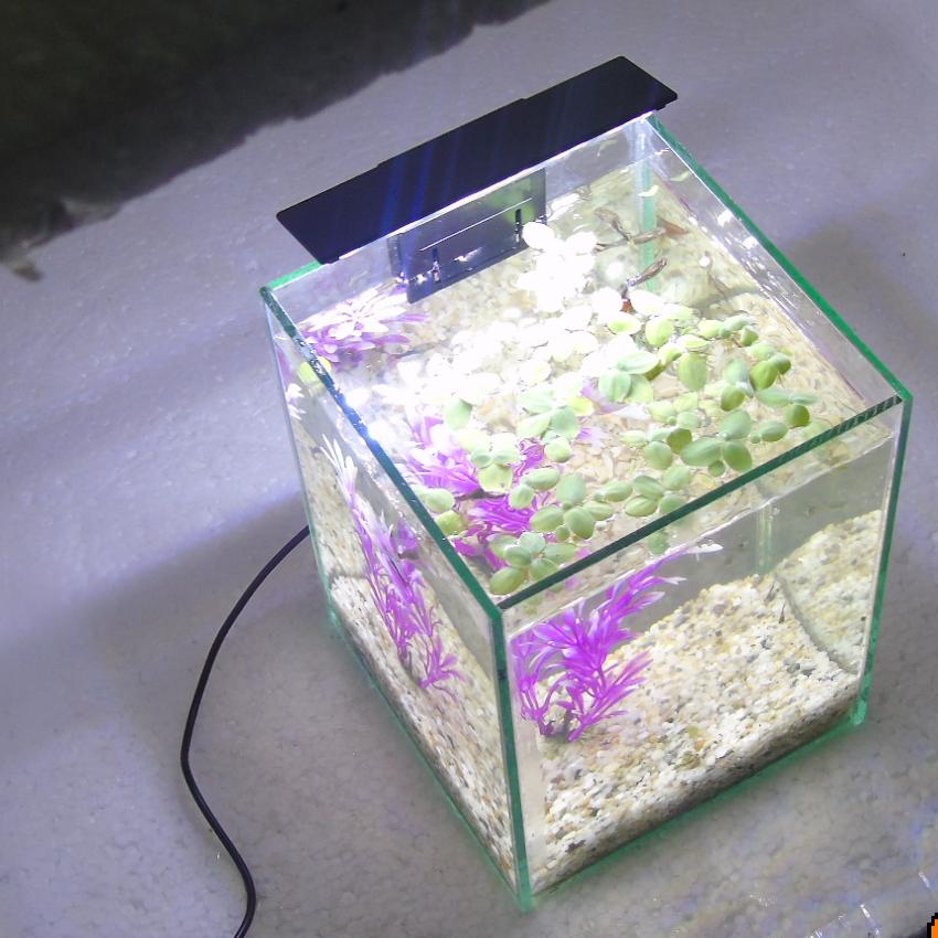 Bể cá mini để bàn 15x15x20cm + Đèn