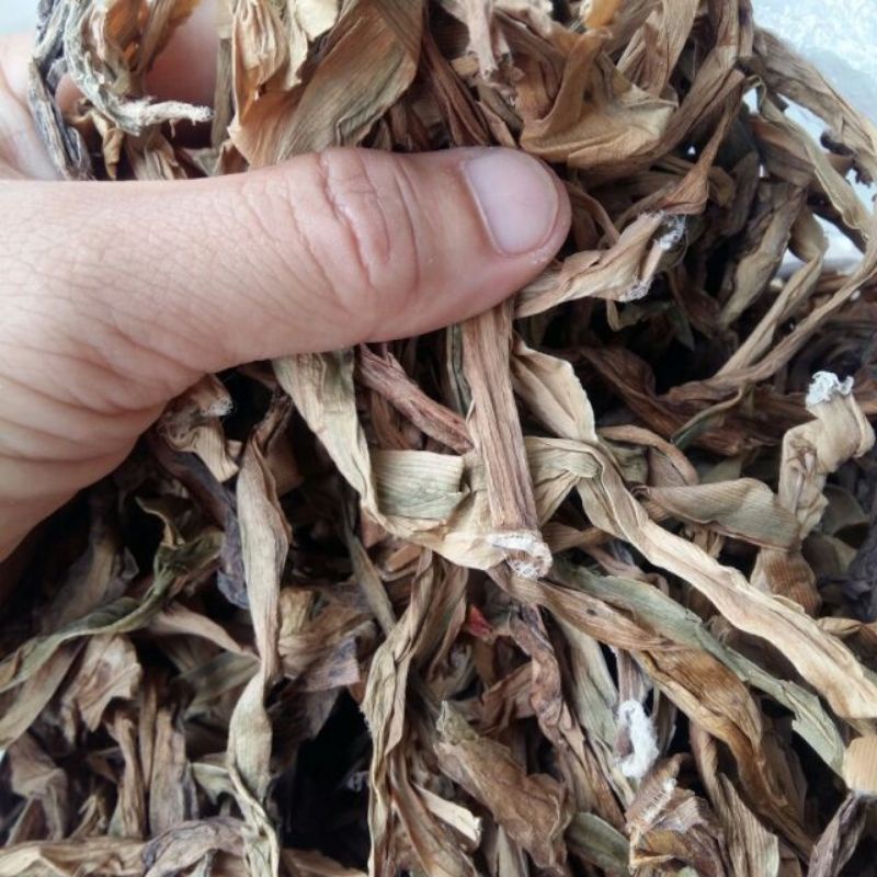 Cao trinh nữ hoàng cung