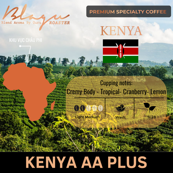 [Premium] Cà Phê Blagu Hạt Đã Rang Kenya AA Plus - Light Medium - 250g