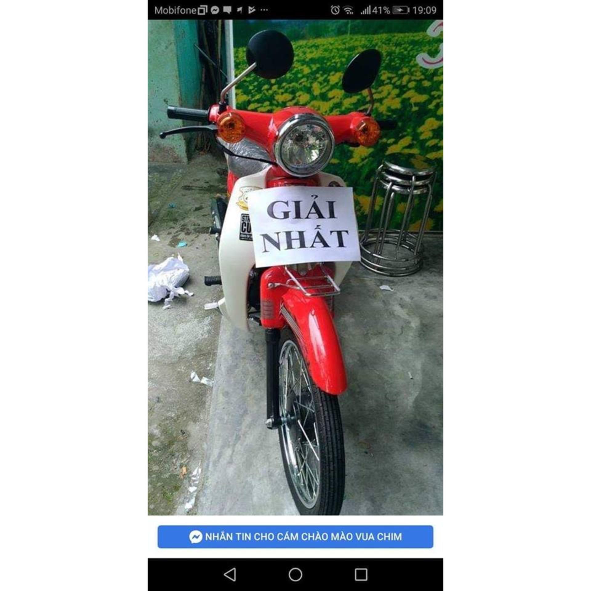 Combo 11 gói cám Chào Mào Vua Chim