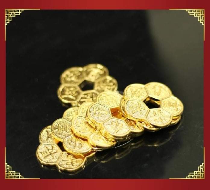 Hộp Hoa mai Kim tiền (làm quà tặng ý nghĩa)