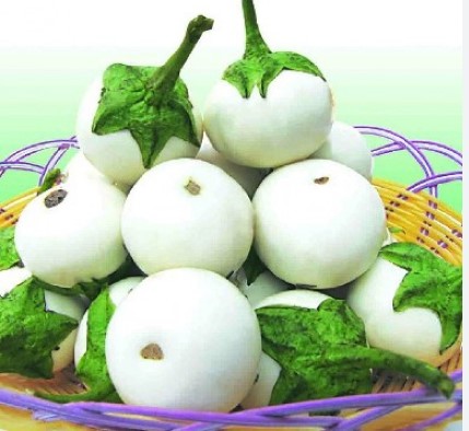 Hạt Giống Cà Pháo Trắng (0.5gr)