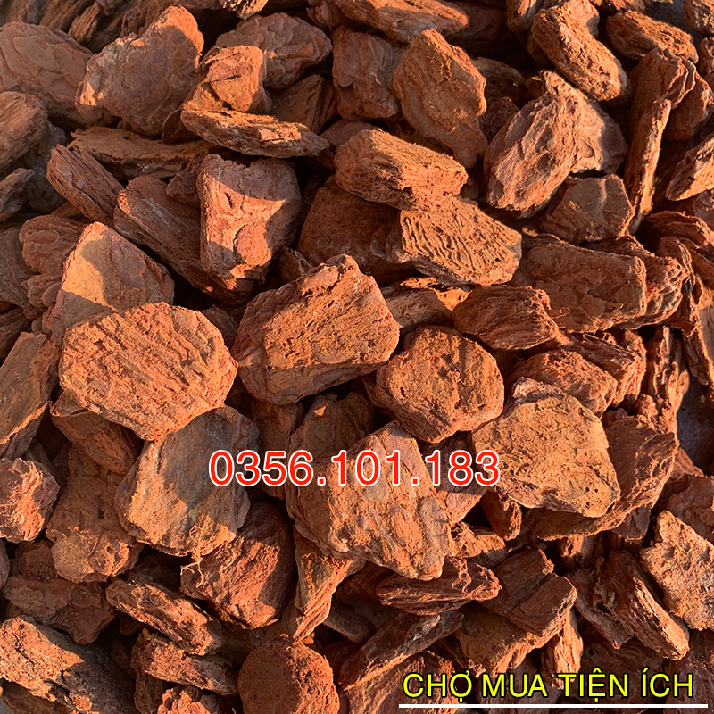 Vỏ thông trồng lan đã qua xử lý size to 2-3cm (1kg)