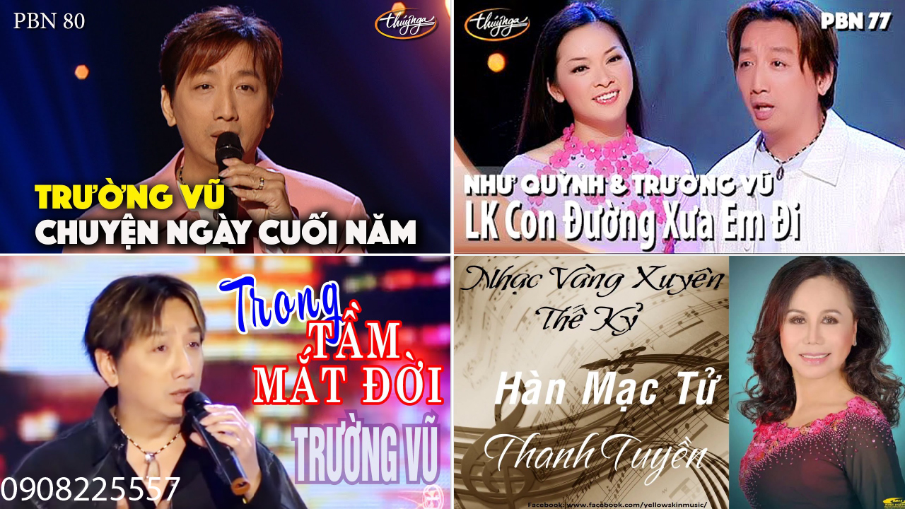 [DVD-VIDEO-PBN-4] THUÝ NGA LIÊN KHÚC QUA CƠN MÊ 42 BÀI HÁT (có Hình Video)