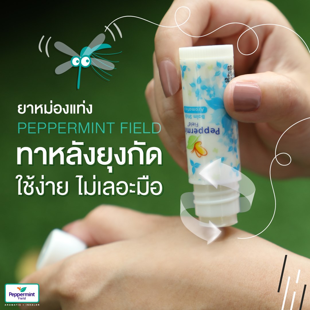 DẦU BẠC HÀ CÔ ĐẶC PEPPERMINT FIELD THÁI LAN
