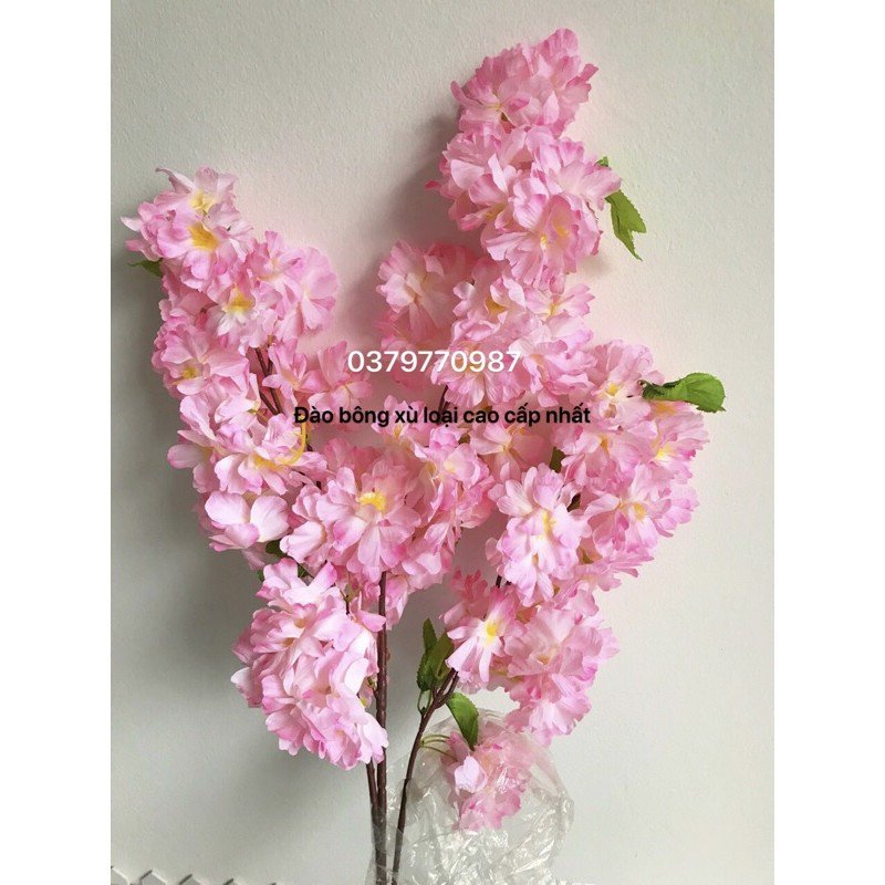 Set 5 cành Hoa Anh đào lụa độ dài 80cm hàng đẹp