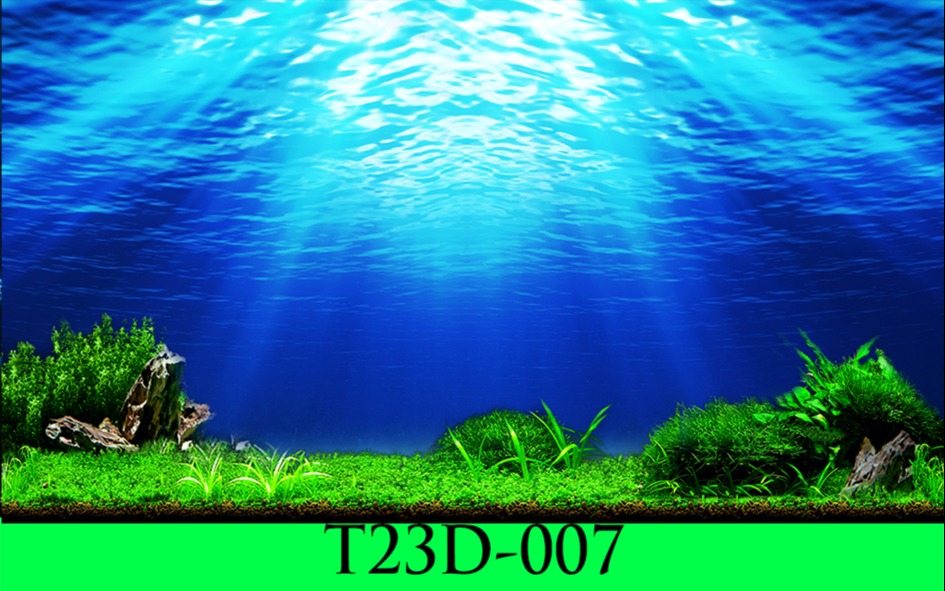 Tranh 3D bể Cá T23D 007 Fuil kích Thước