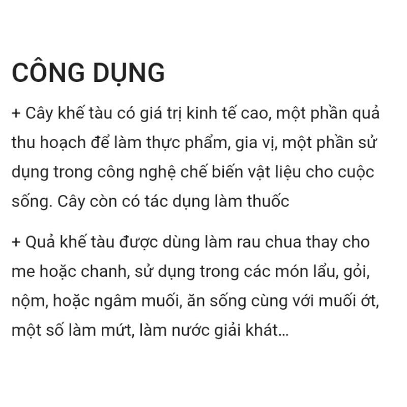 Cây Khế Tàu - Khế Tây - Khế kiểng ( mới )