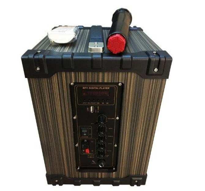 [HCM]Loa kéo di động JBZ NE-106