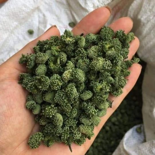 Nụ Hoa Tam Thất Bao Tử (Nụ Không Chân 500gr)