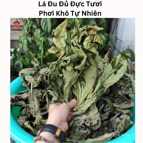 Lá Cây Đu Đủ Đực Tươi 500 gam.