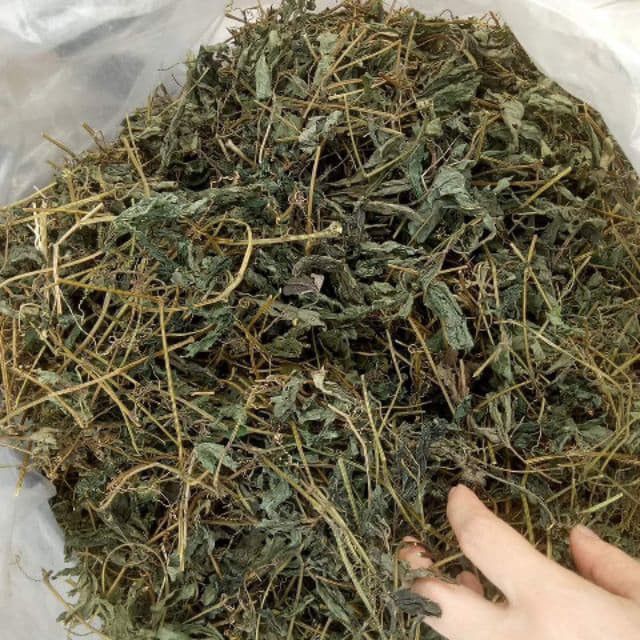 giảo cổ lam khô 7 lá sapa