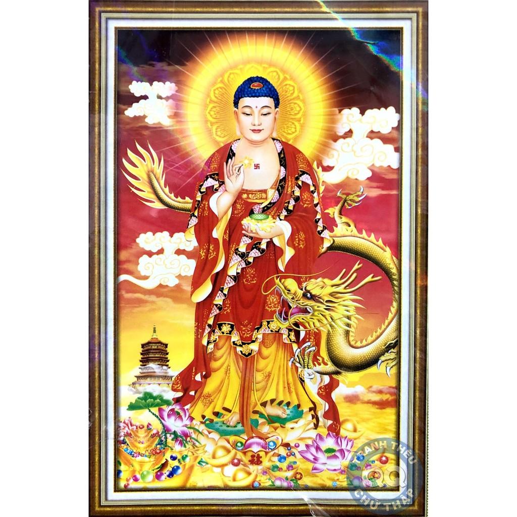 [HCM]Tranh đính đá PHẬT DF572 KÍCH THƯỚC :55×85CM