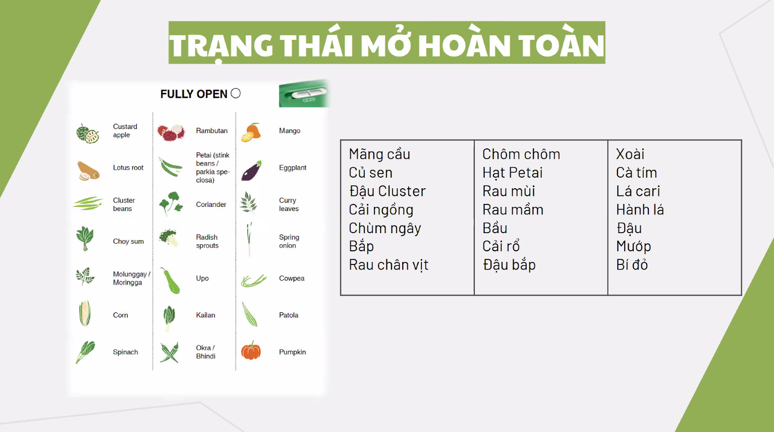 Hộp trữ mát có nút hô hấp Tupperware Ventsmart 1.8L thấp