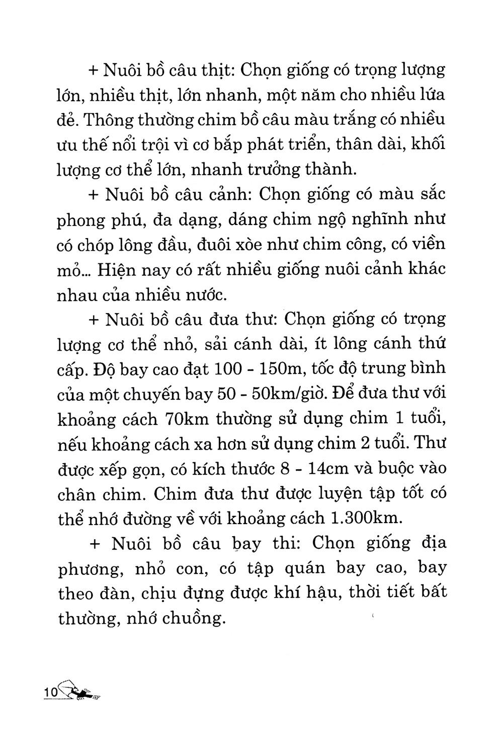 [HCM]Kỹ Thuật Nuôi Bồ Câu
