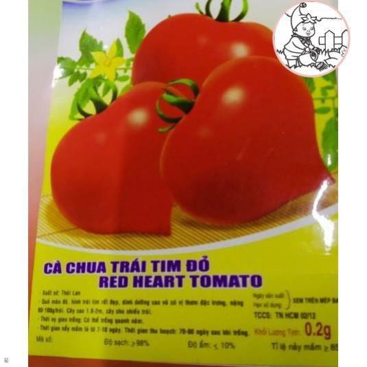 HẠT CÀ CHUA TRÁI TIM ĐỎ - GÓI 0,1 GRAM