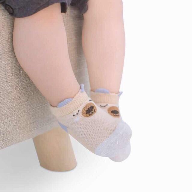 Sét 5 đôi tất lưới cổ thấp Kids Socks
