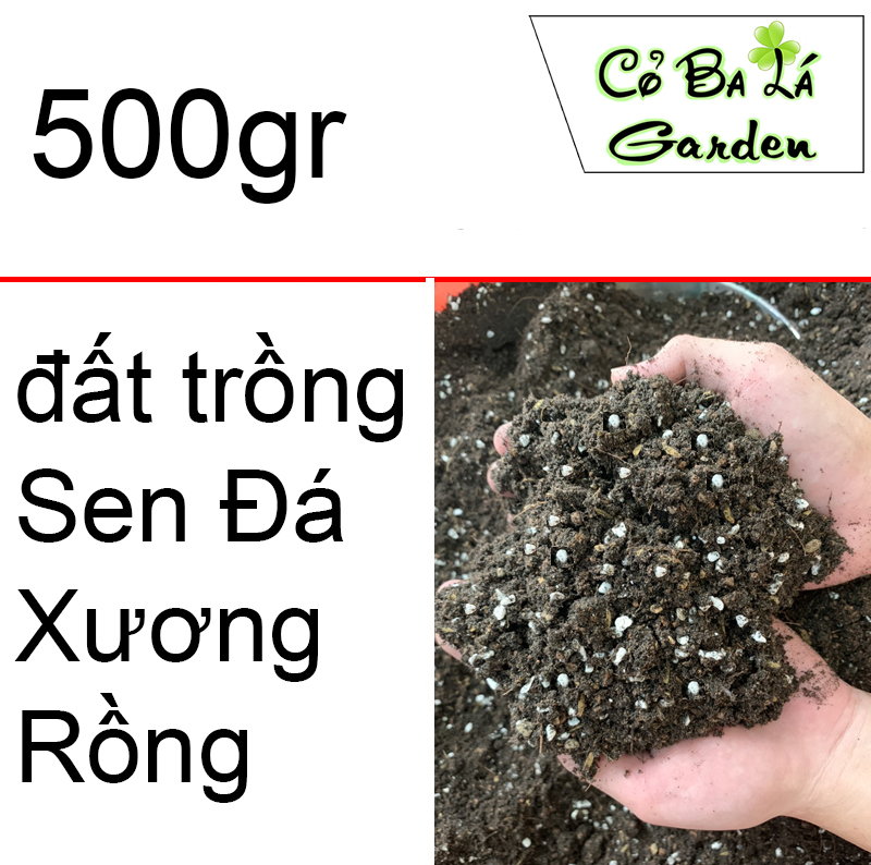 Đất Trồng sen đá xương rồng (túi 500gram)