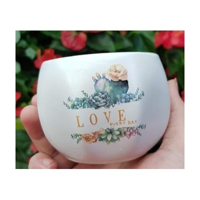 Chậu sứ bóng lõm nhỏ in hình