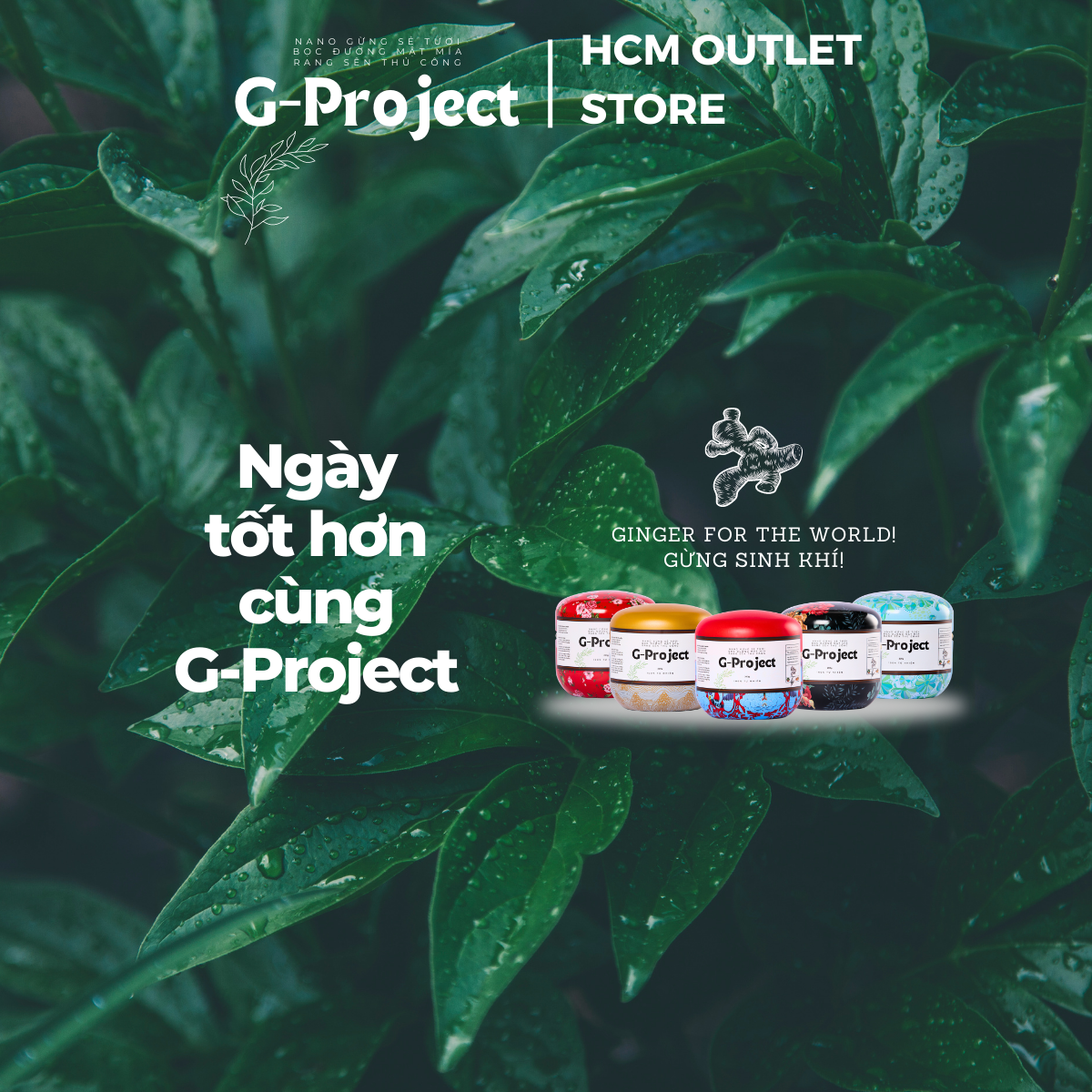 Nano Ginger G-Project - Purple Palettes