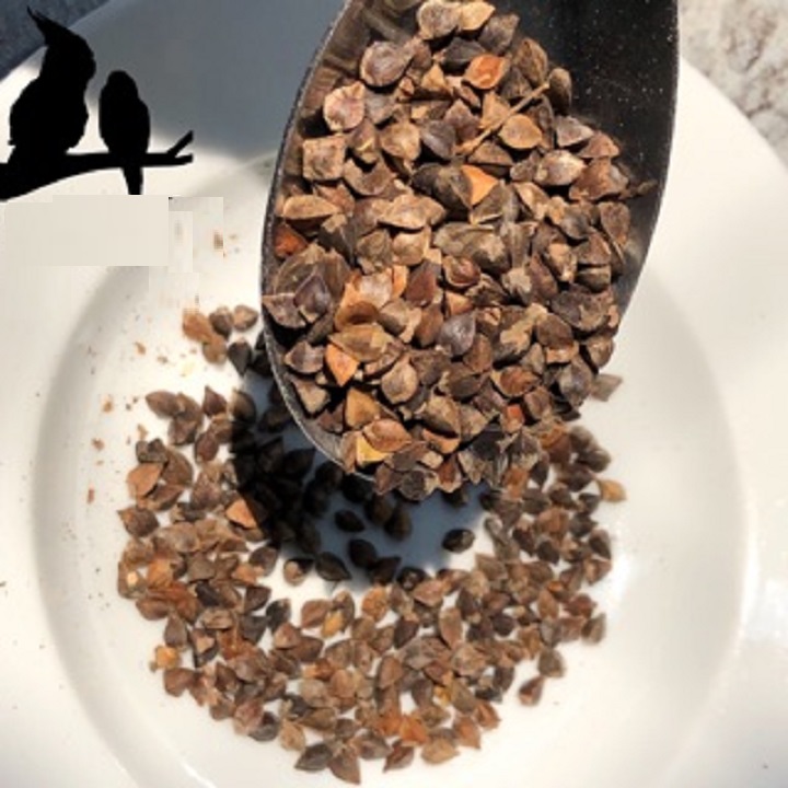 [HCM]500G HẠT BA KHÍA( hạt chưa chế biến)