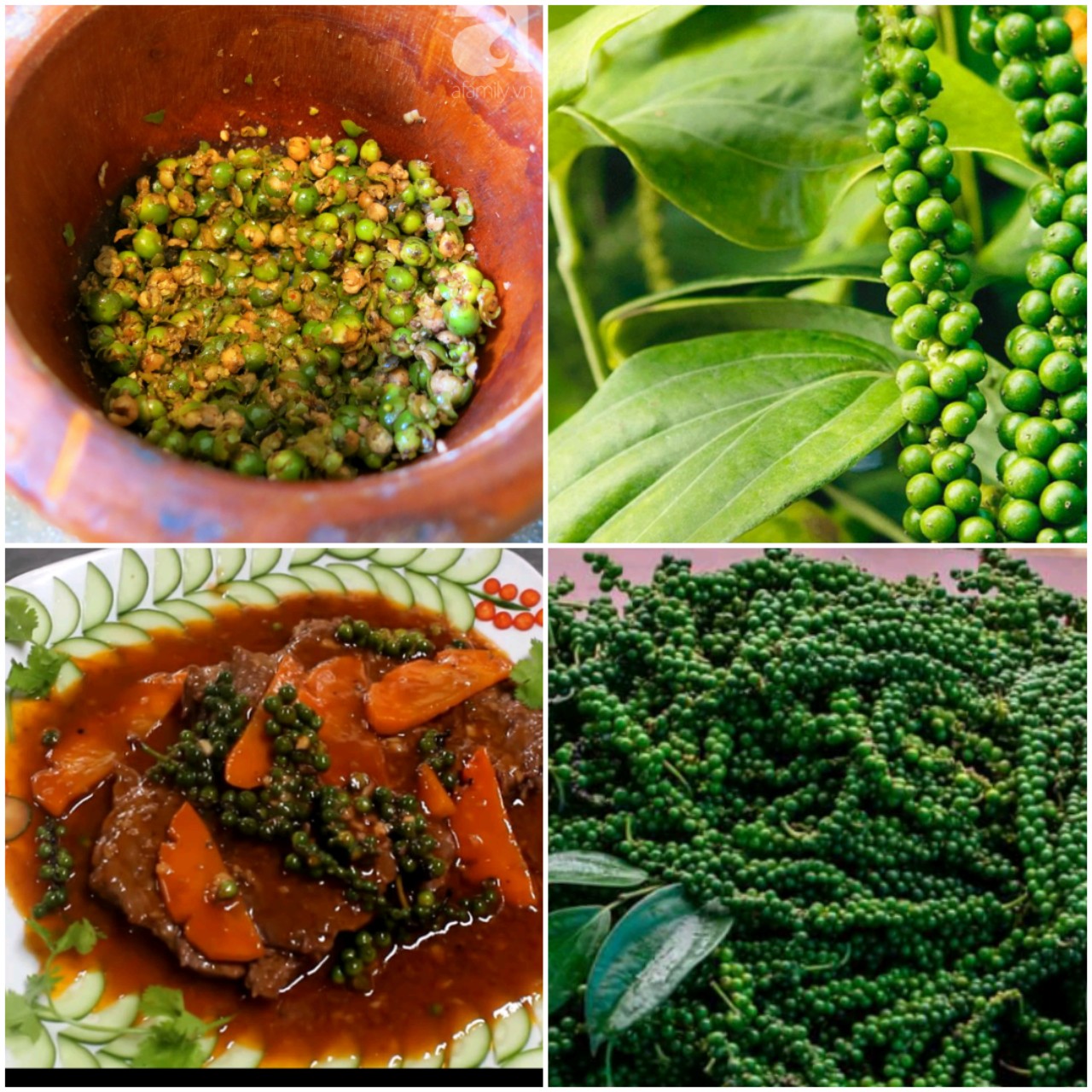 [ 1kg ] tiêu xanh, hồ tiêu, tiêu tươi