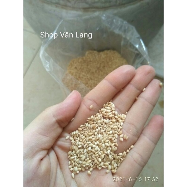 100g Vừng vàng - mè vàng khô hạt chắc mẩy thơm ngon
