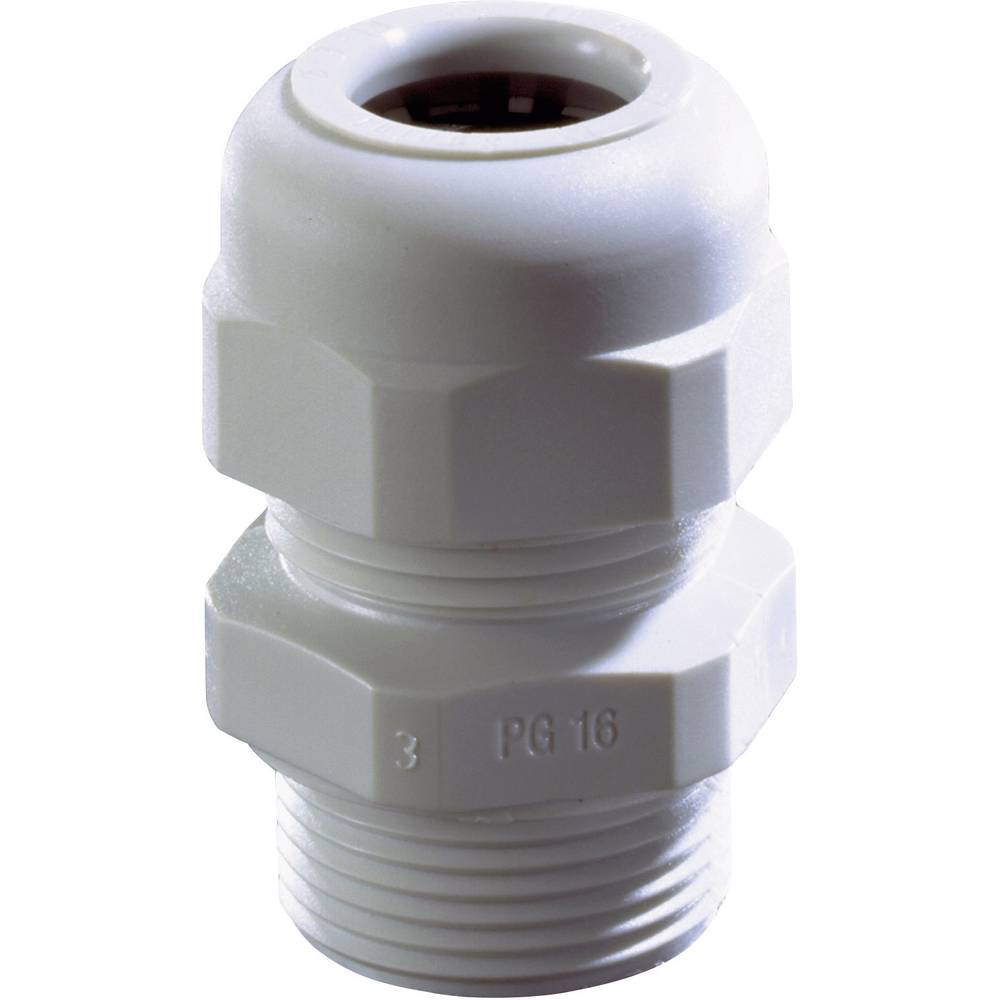 Ốc siết cố định PG36