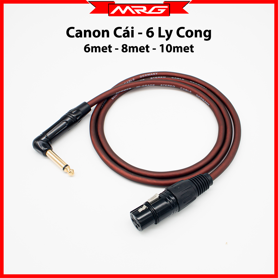 Dây Jack 6.5mm Ra Canon Cái dài 10met 8met 6met TG011 dây micro 10m, dây micro 5met, dây 6ly, dây 6mm, dây cáp 6 ly, dây jack 6 ly, dây rack 6 ly, dây micro 6 ly, dây canon ra 6 ly, dây tín hiệu jack 6 ly cong, jack 6.35mm