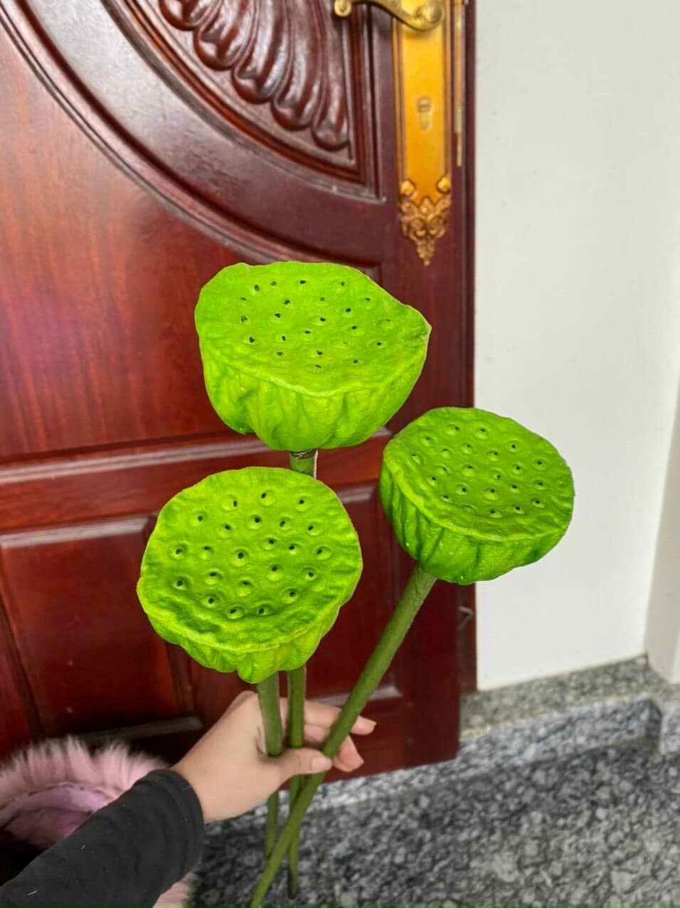 Hoa Sen Quan Âm, Hoa Sen Giả HL051-4