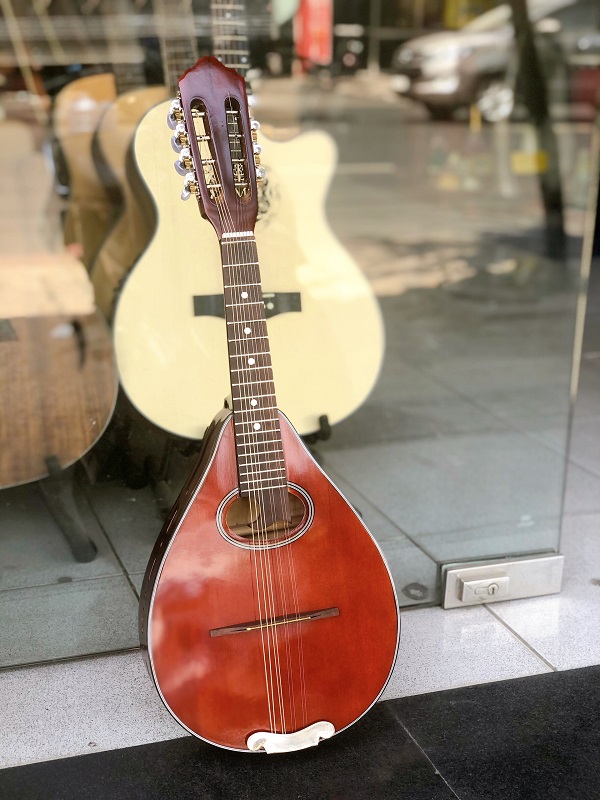 Đàn Mandolin Việt Nam