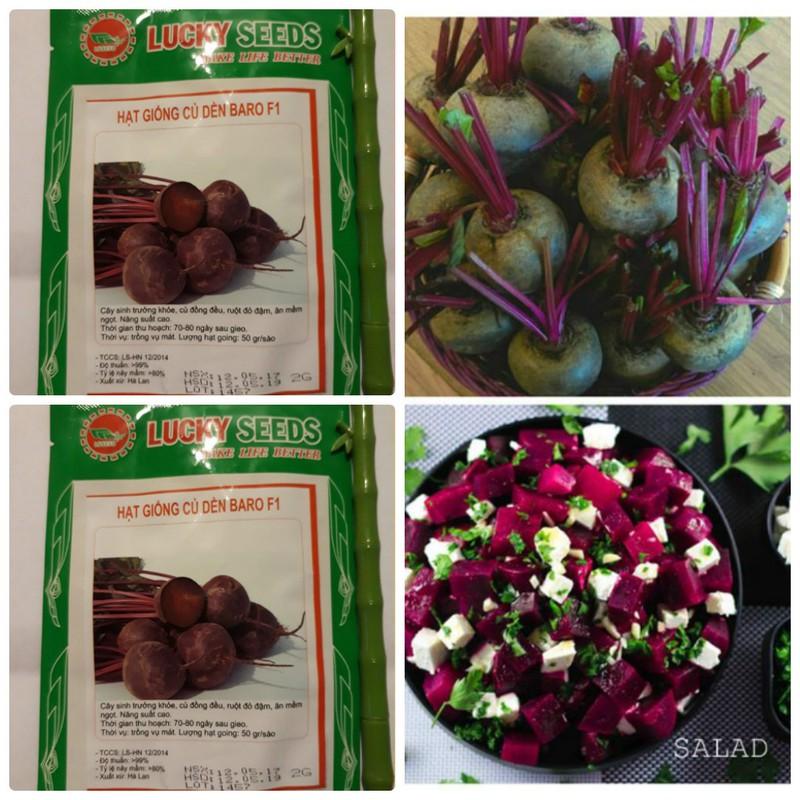 Hạt giống Củ dền đỏ – 2Gram/Gói