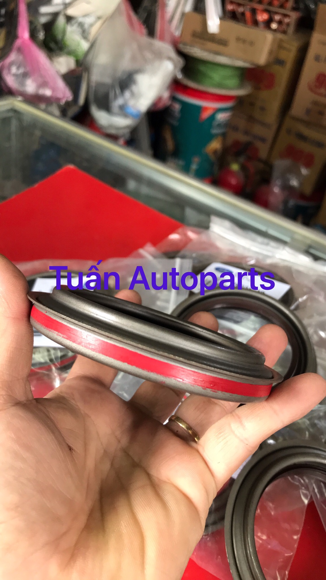 [HCM]Phốt Bánh Sau Ford Transit 2010-2019