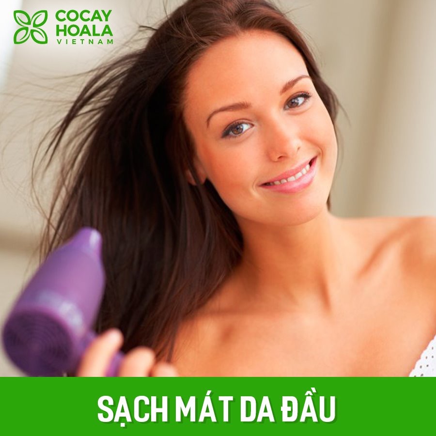 Dầu gội Hà Thủ Ô giúp tóc bạc thành tóc đen trở lại