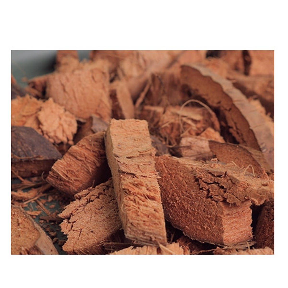 [HCM]Vỏ dừa cắt nhỏ - giá thể trồng lan đã qua xử lý