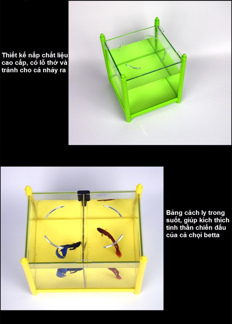 Bể ba cá chọi betta xếp tầng