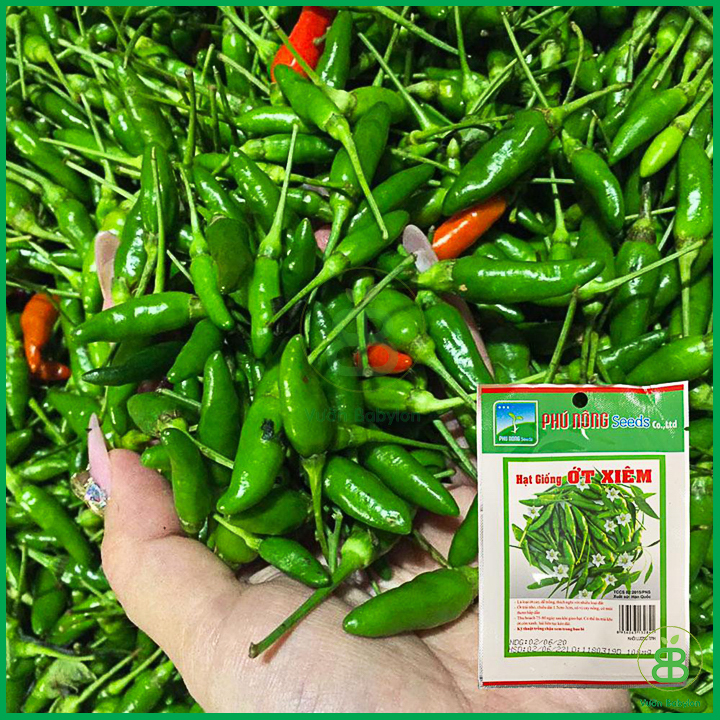 Hạt Giống Ớt Xiêm Cao Sản 0,1Gr