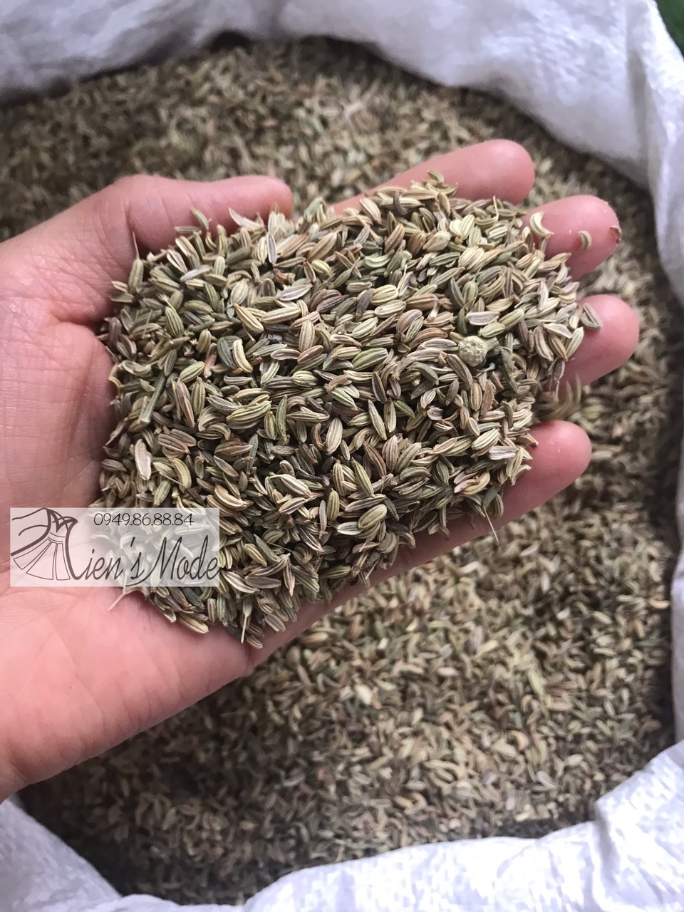 100gr Tiểu hồi Hương