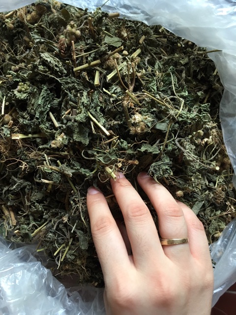 Trà đen