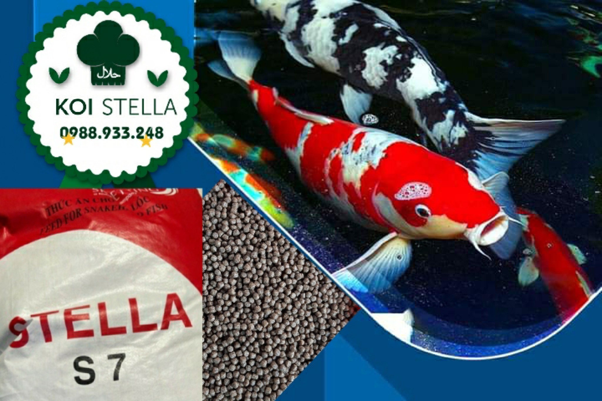 Cám KOI STELLA S7 dành cho cá KOI || 1Kg