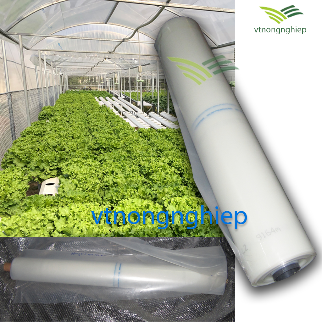 1m membrane covered greenhouse reached harmony, oversized 4.2m, durability 5-8 years, specialized made greenhouse plant vegetable, flower, do home drying agricultural products.