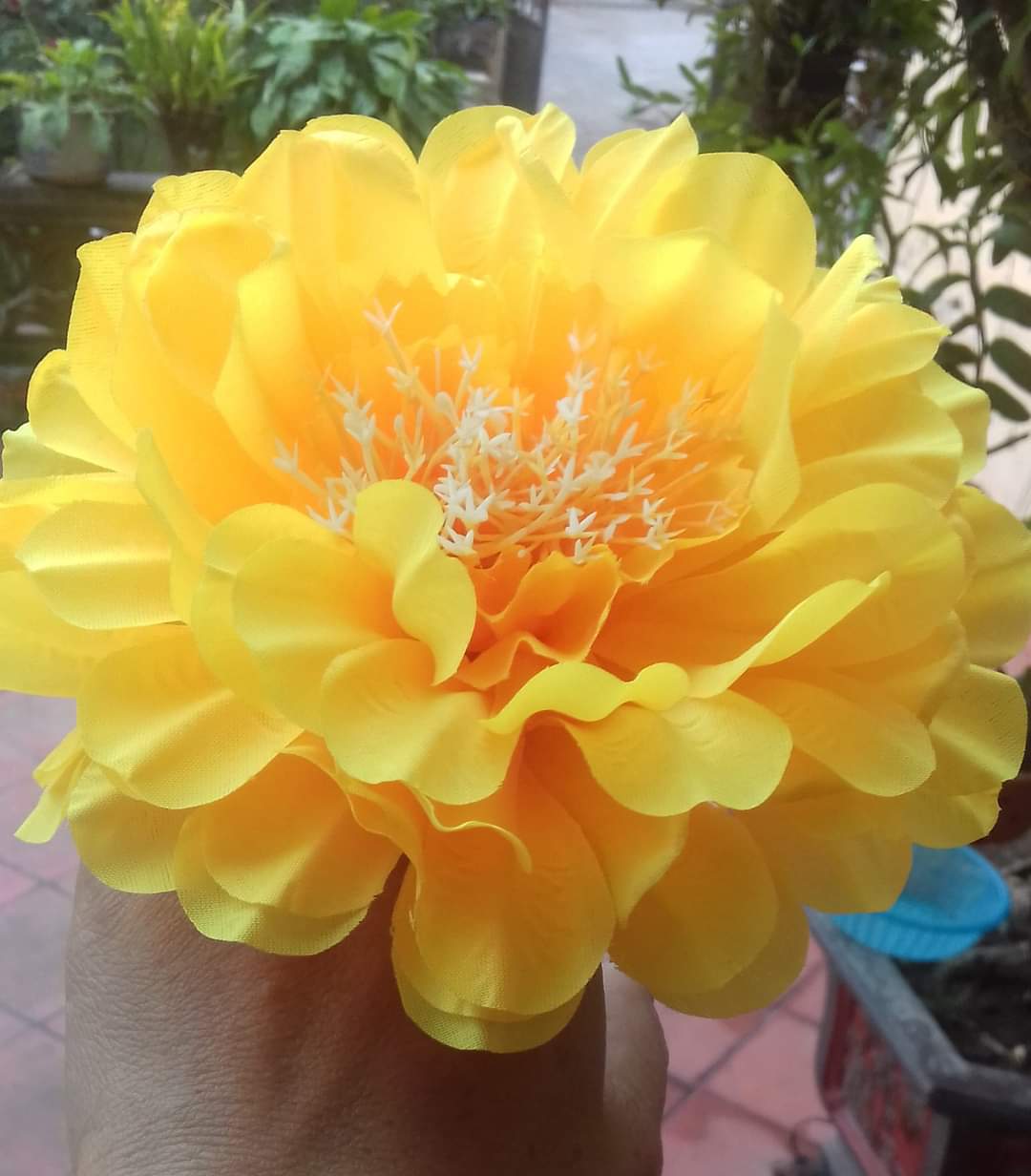 Hoa múa cẩm tú cầu bằng lụa có đính thun