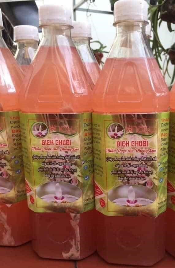 Dịch chuối chăm sóc cho Phong Lan 1 lít