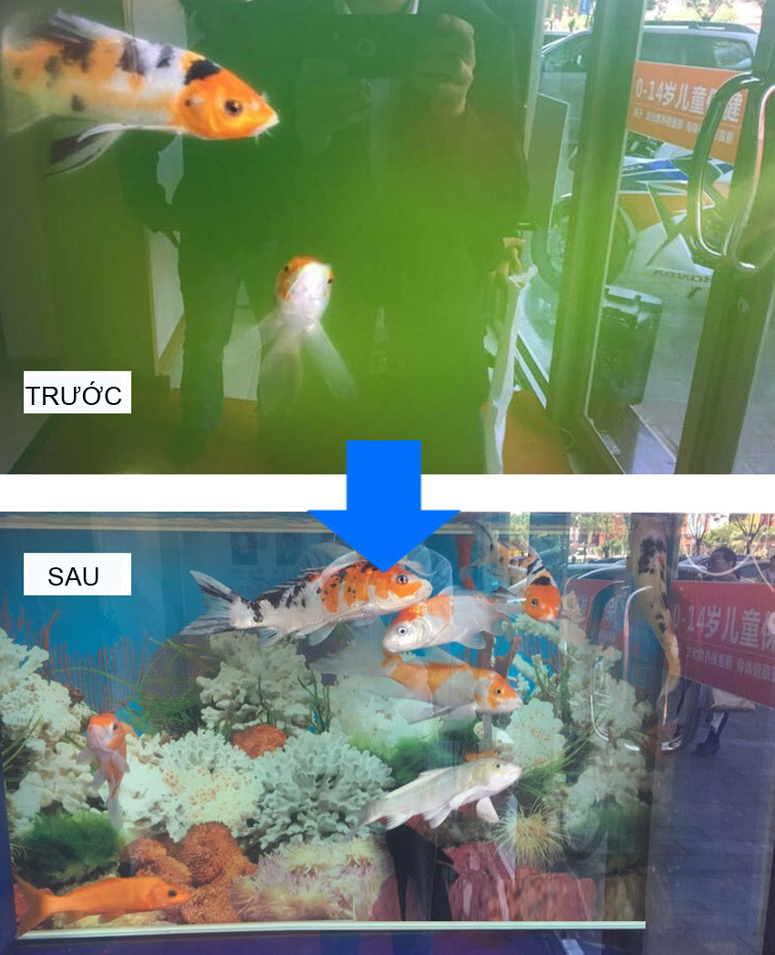 UV Sterilization KING 11W - AQUARIUM DIVING SPECIAL UV GERMICIDAL LAMP