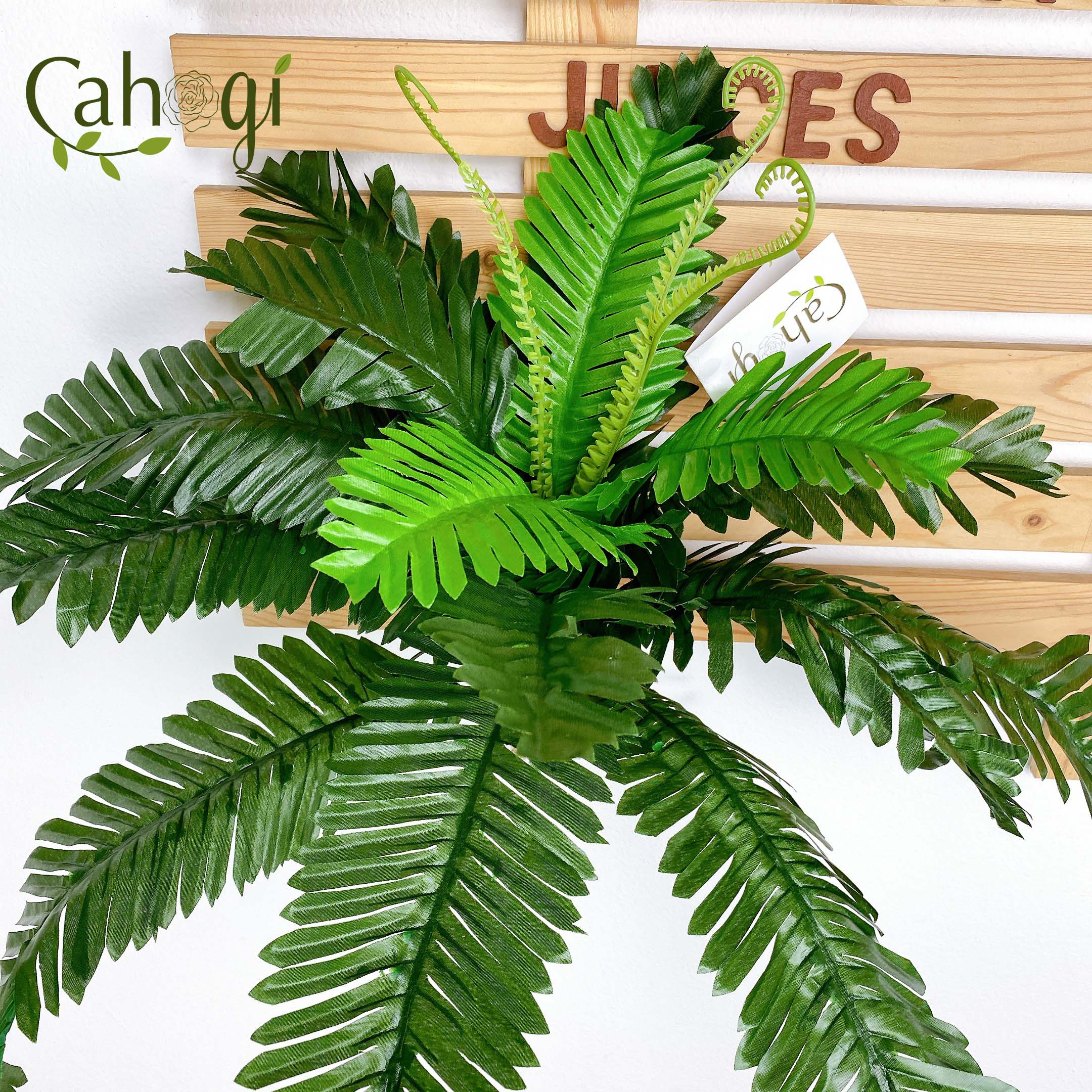 Cây Giả Cây Vạn Tuế Cỡ Trung Bằng Vải