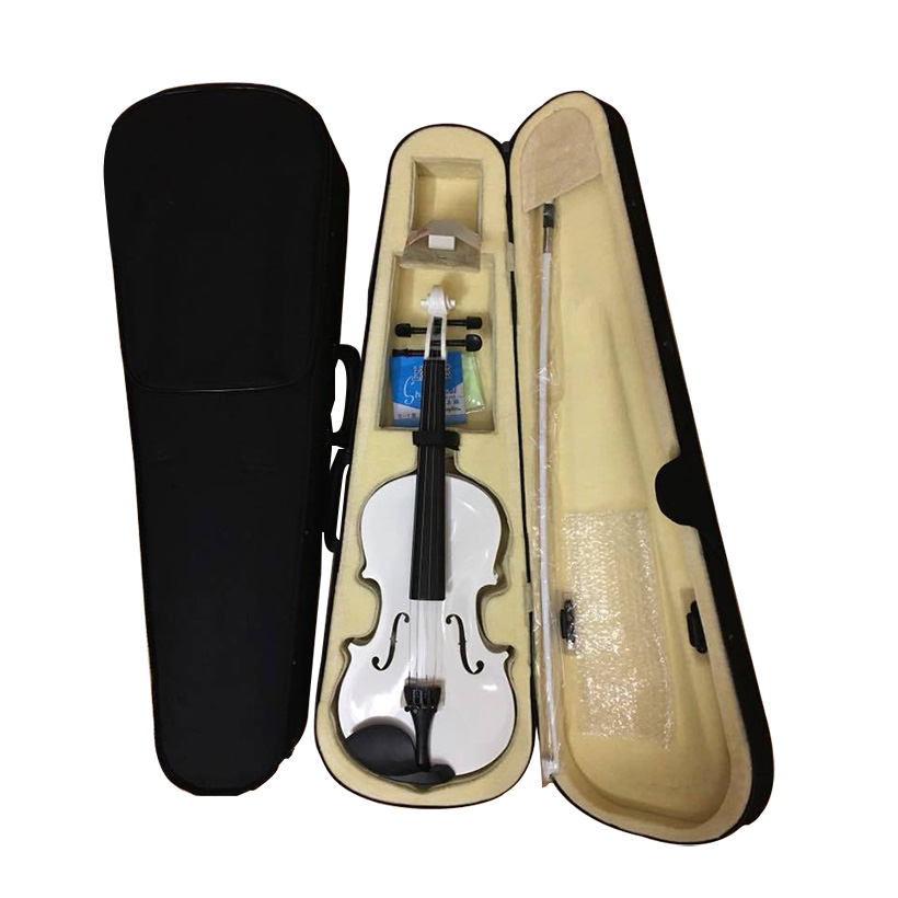 [Expeed] High-End Electric Violin Violin Size 4/4, High-Quality Wood, Full Accessories - Available Products