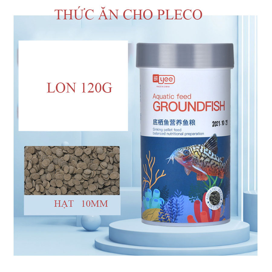 THỨC ĂN CHUYÊN DỤNG CHO CÁ PLECO - CÁ CHUỘT - CÁ TẦNG ĐÁY