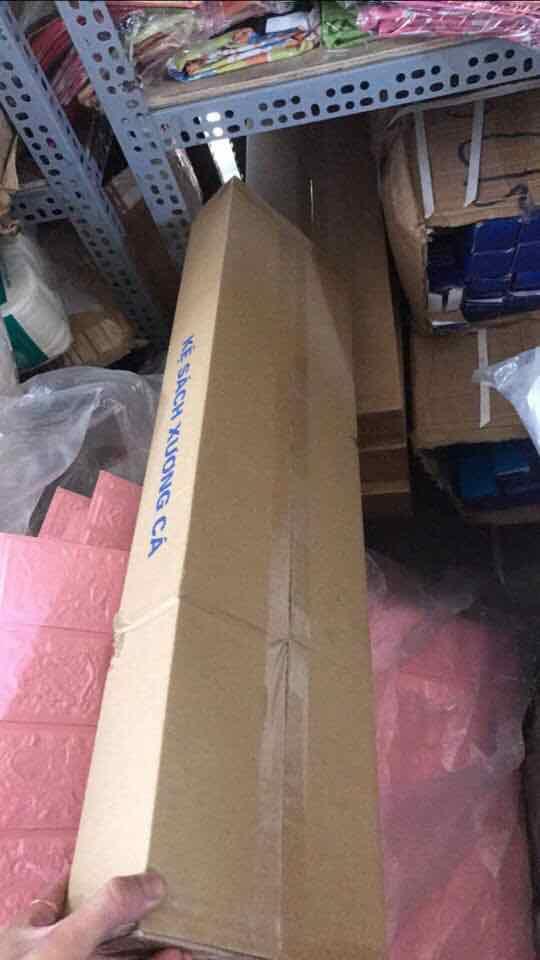 Kệ để sách xương cá
