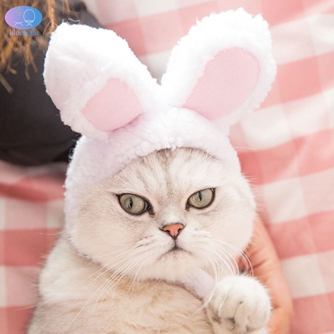 Đủ Size - Nón tai thỏ cho chó mèo thú cưng