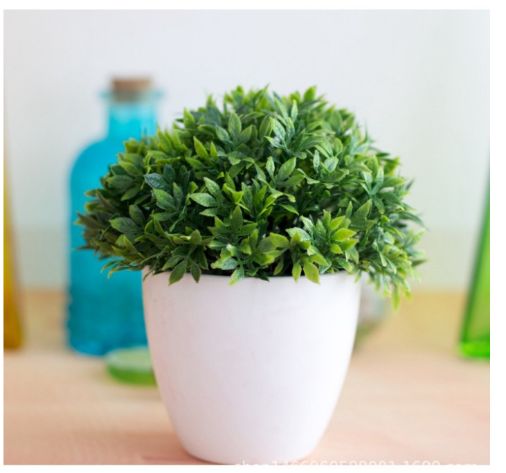 Chậu cỏ giả trang trí để bàn cỏ lá tròn